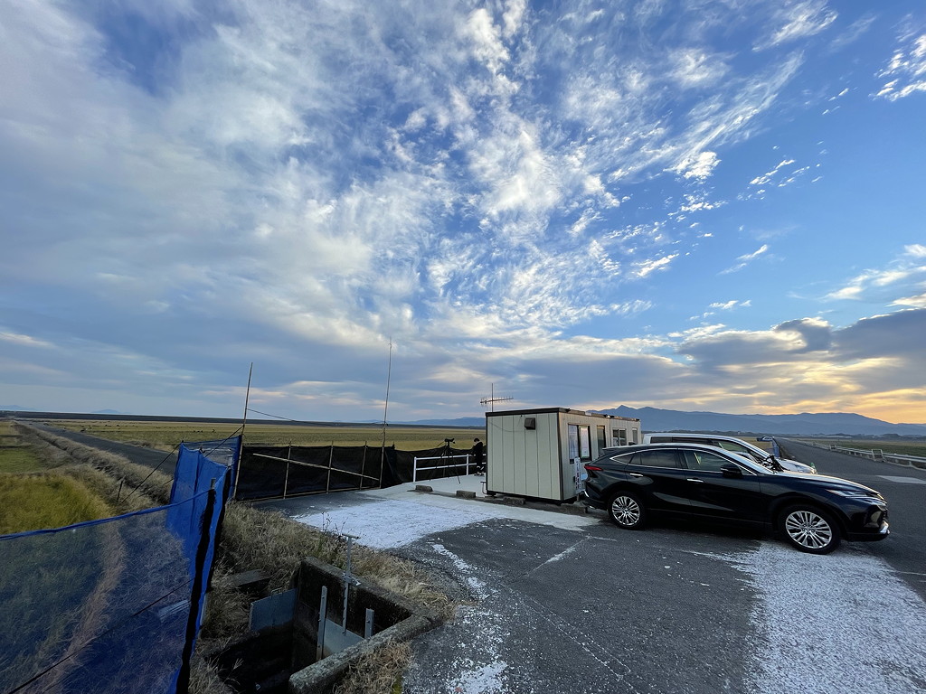 The Higashi Kantaku feeding area offers the best location from which to search for Sandhill Cranes within the crane flock © Mark Brazil